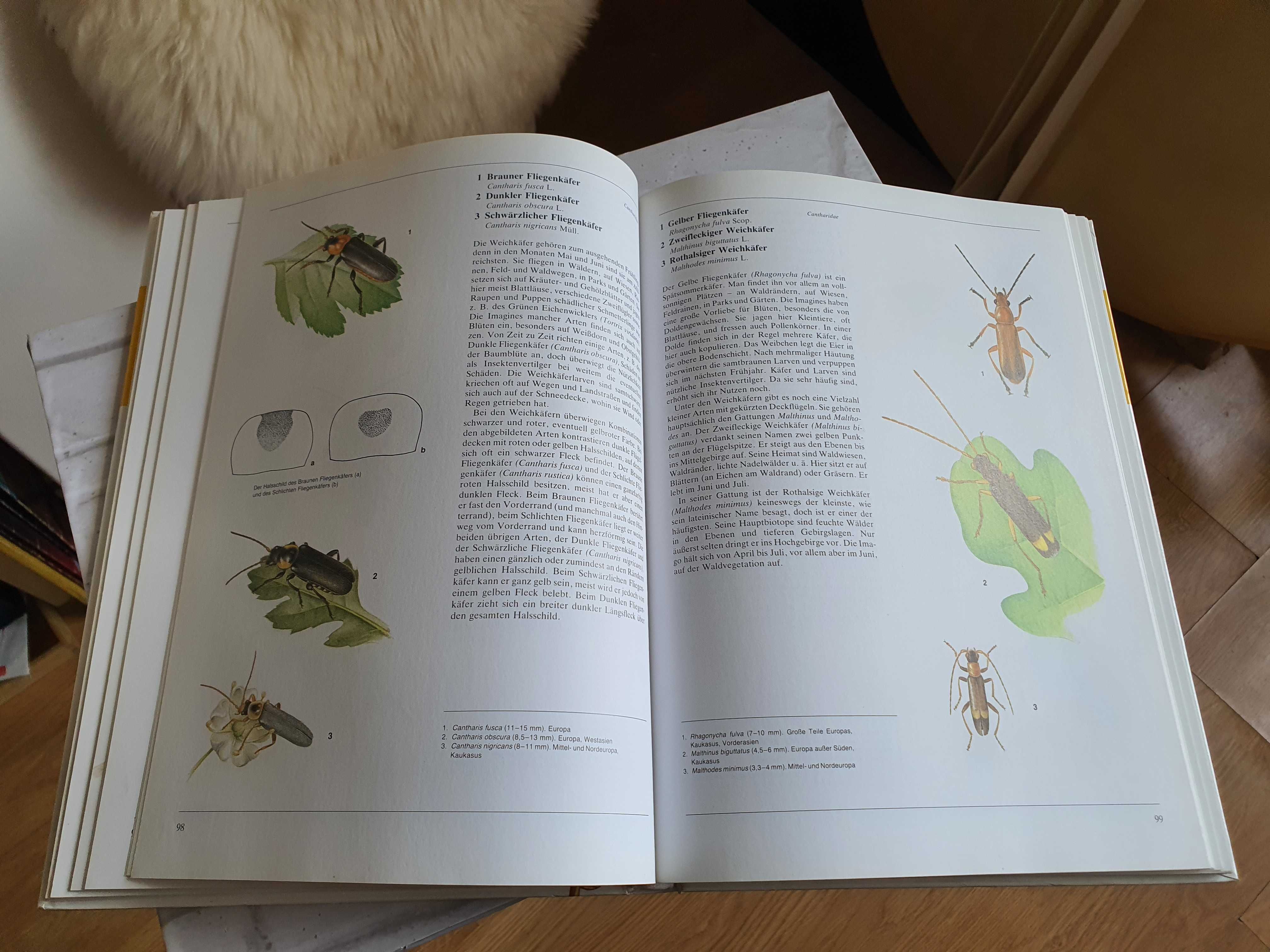 Marea carte a insectelor in limba germana