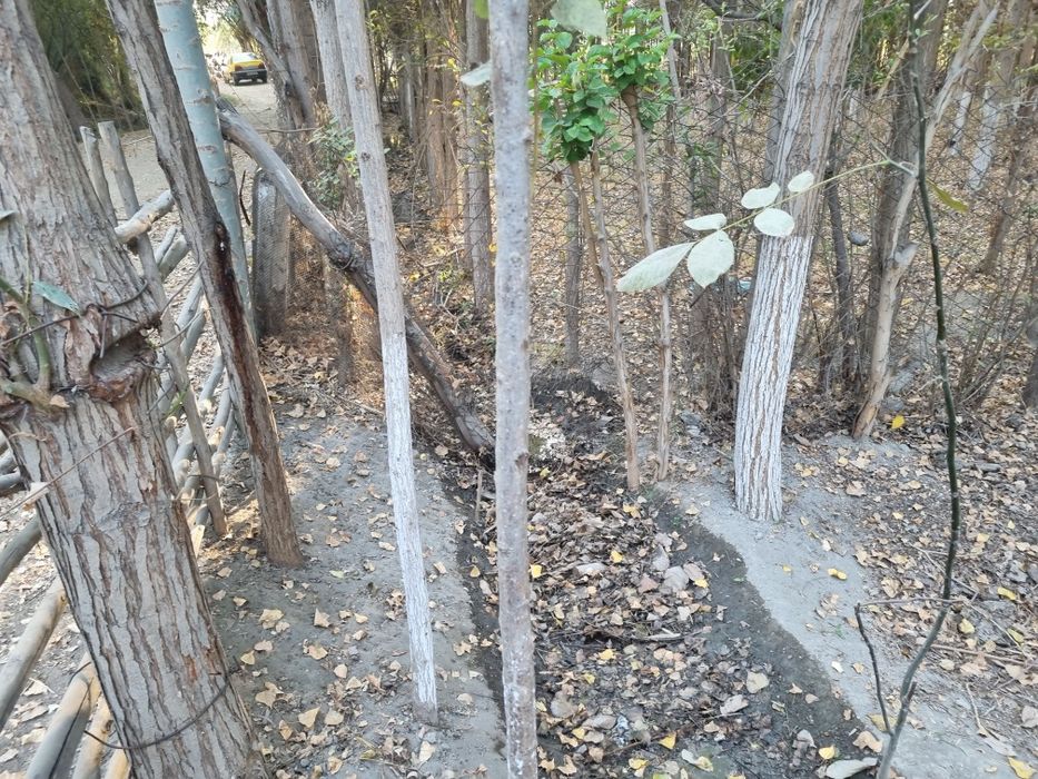 Yer uchastka sotiladi