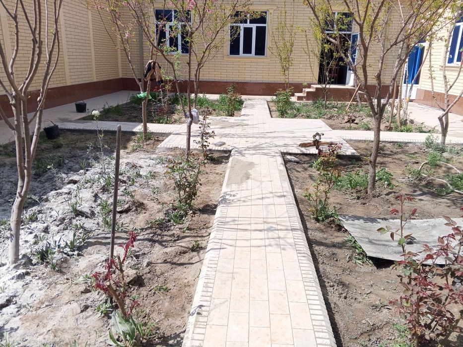 Бурчатка терамиз