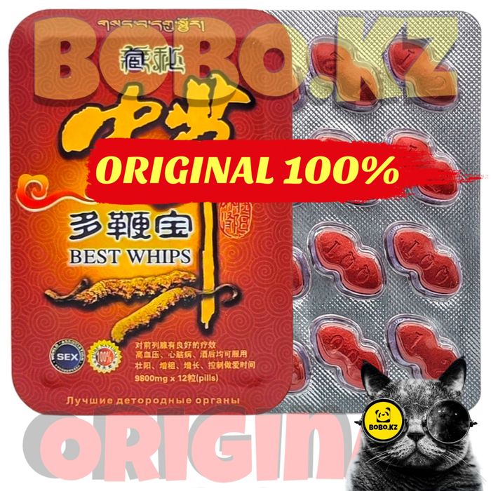 мужской катализатор прокордиц12