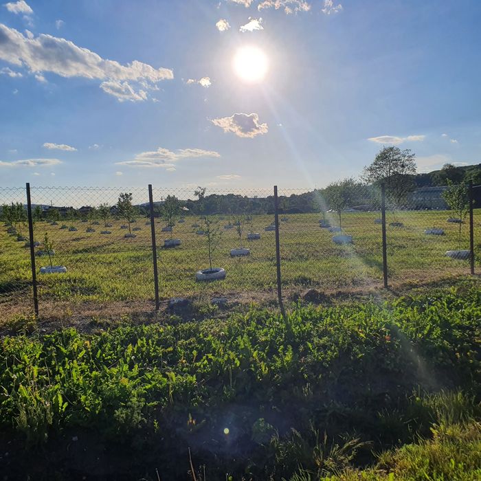 Vând urgent teren intravilan