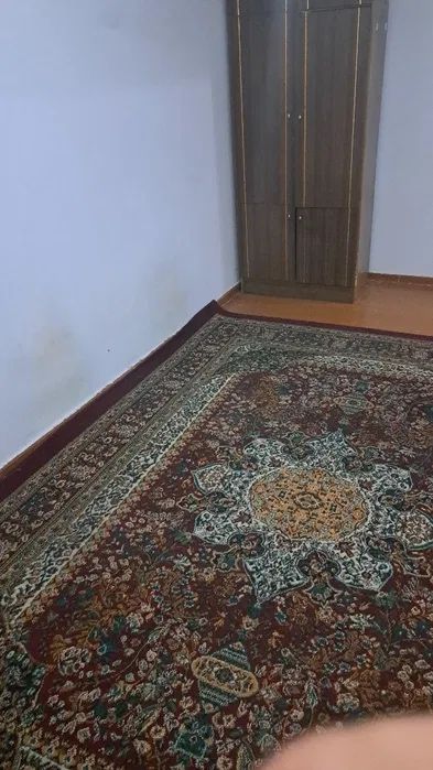 Chilonzorda arzon kvartira studentlar uchun ijara shartnomasi bor
