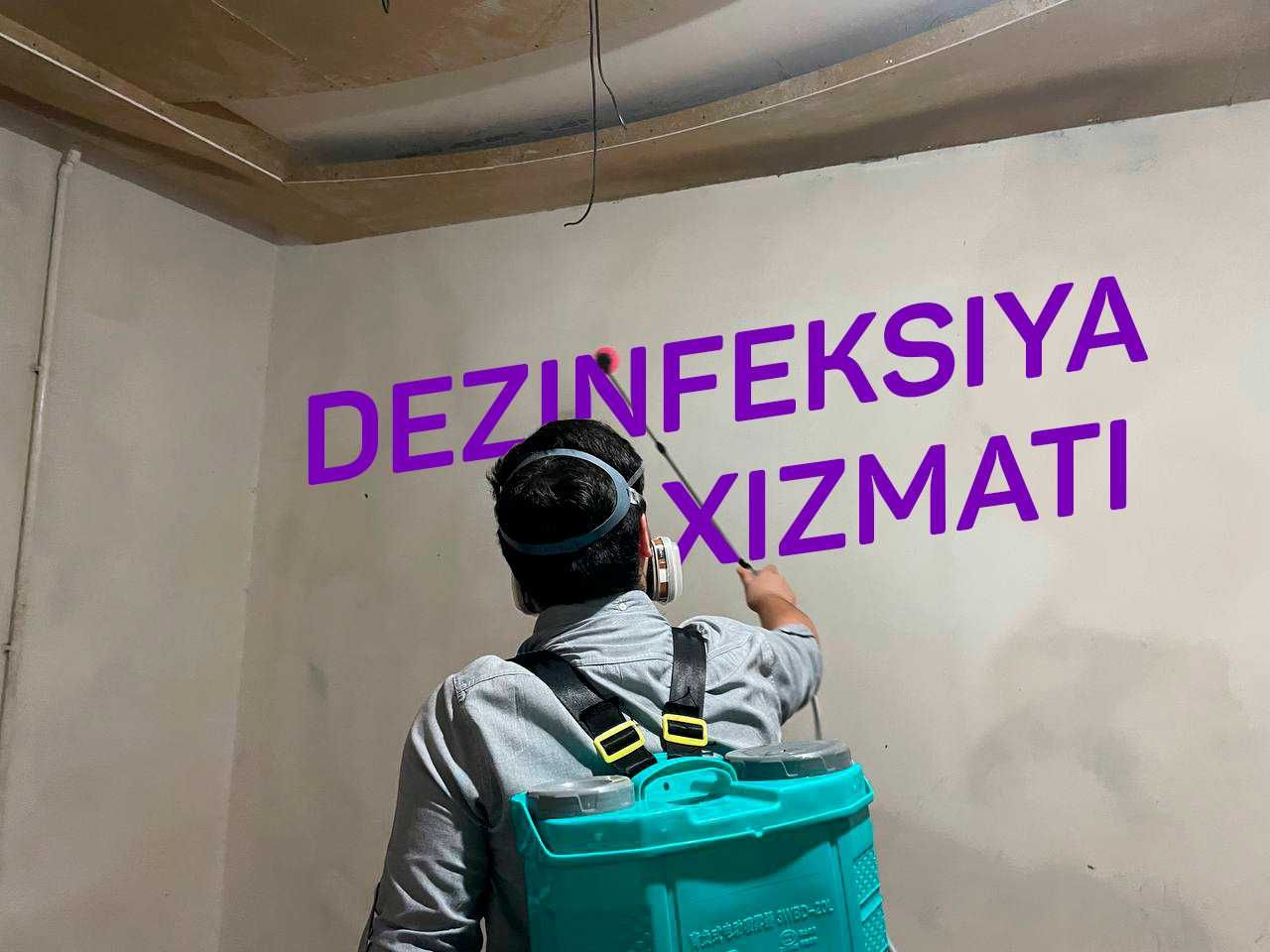 Dezinfeksiya klop дезинфекция Уничтожение насекомых, тараканов, клоп
