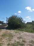 Teren intravilan 2200mp Cosoveni