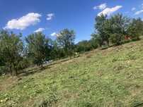 Vând teren Viile Satu Mare 600 m2