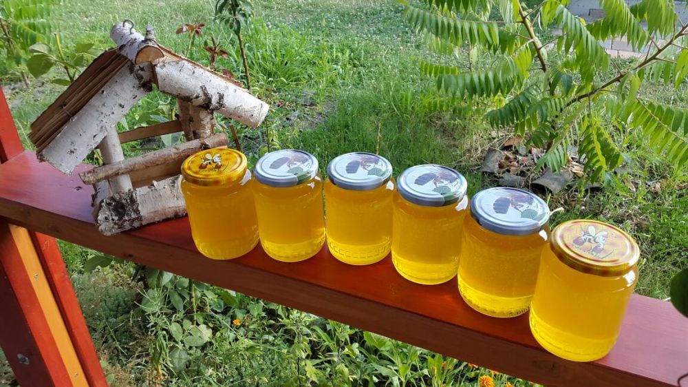 Miere de albine BIO naturala 100% SALCAM Tei polen productie proprie