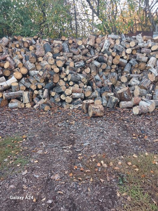 Продам дрова  сухие чюрки, швырок.