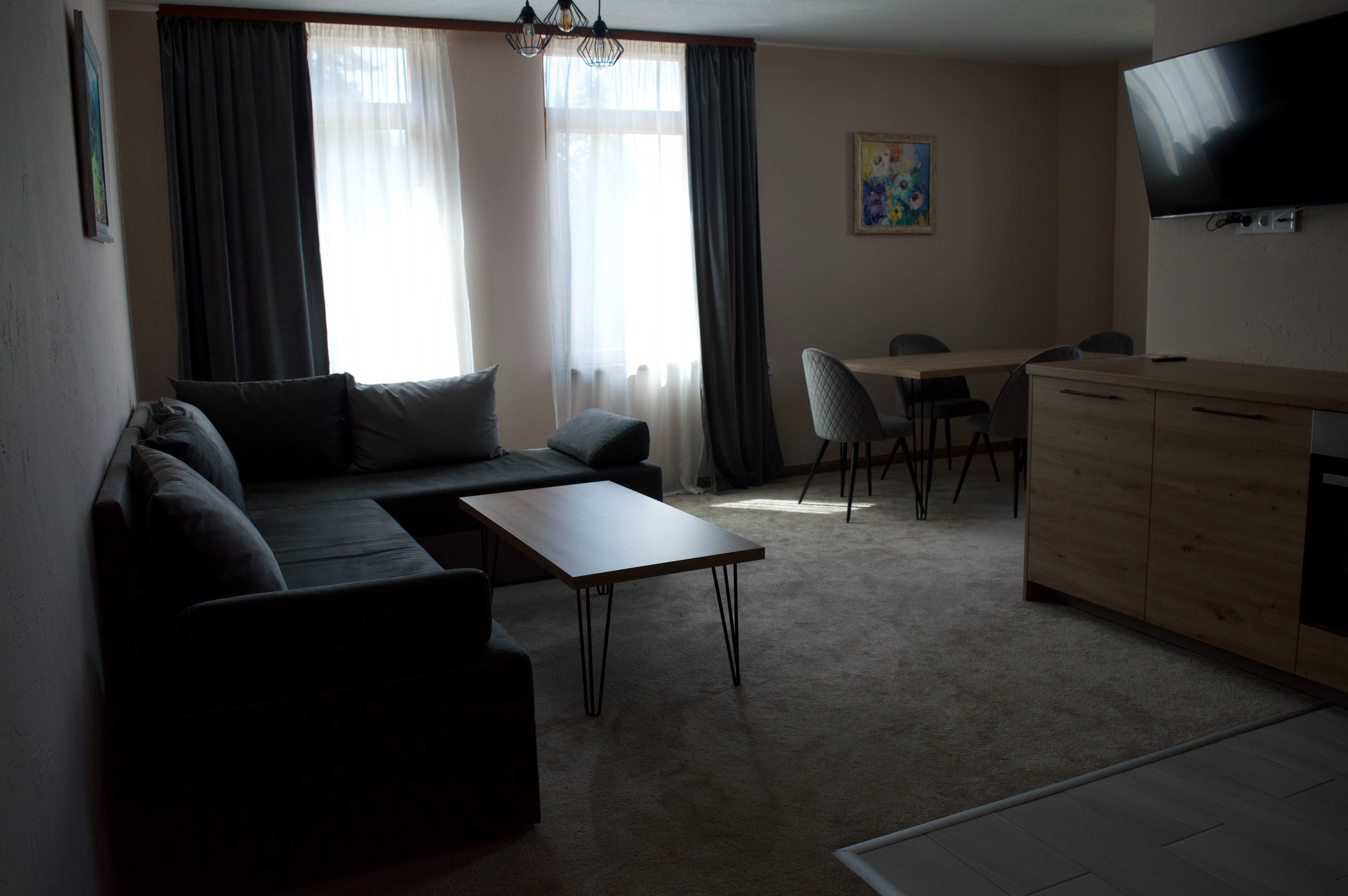 Sokolovi apartment, The bear Pamporovo