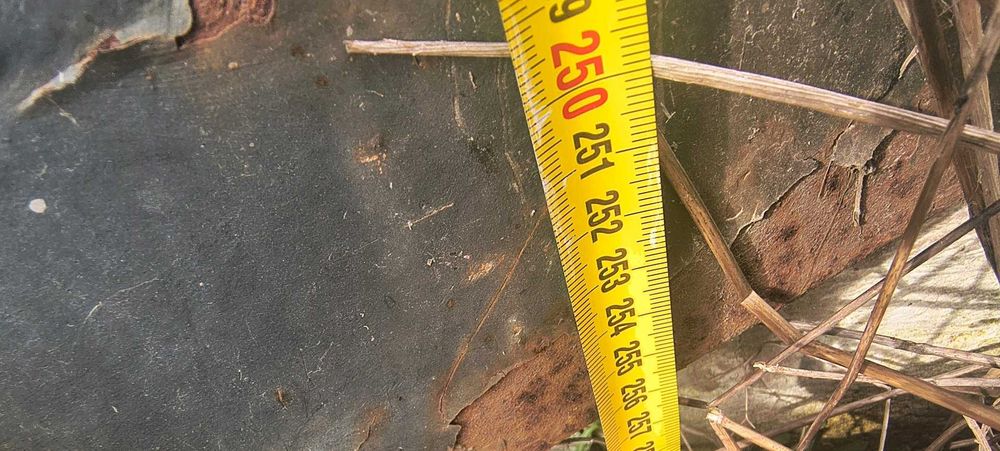 Vand container maritim 6m descoperit