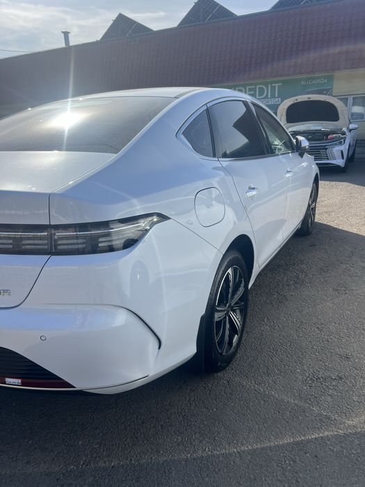 Byd chazor gibrid full