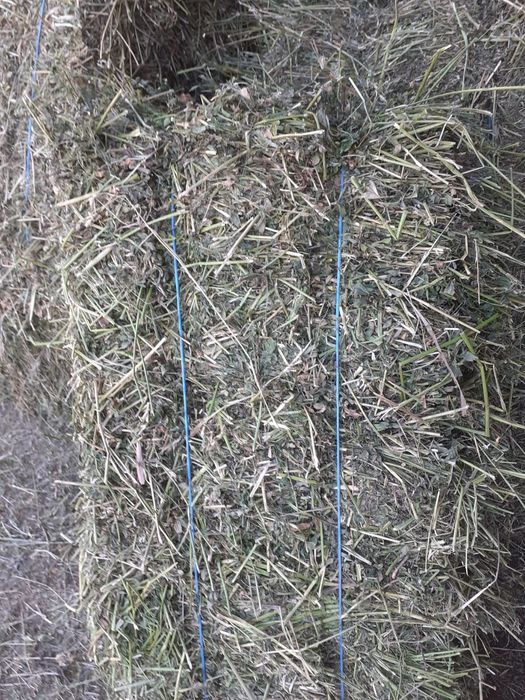 Baloți lucerna și otava