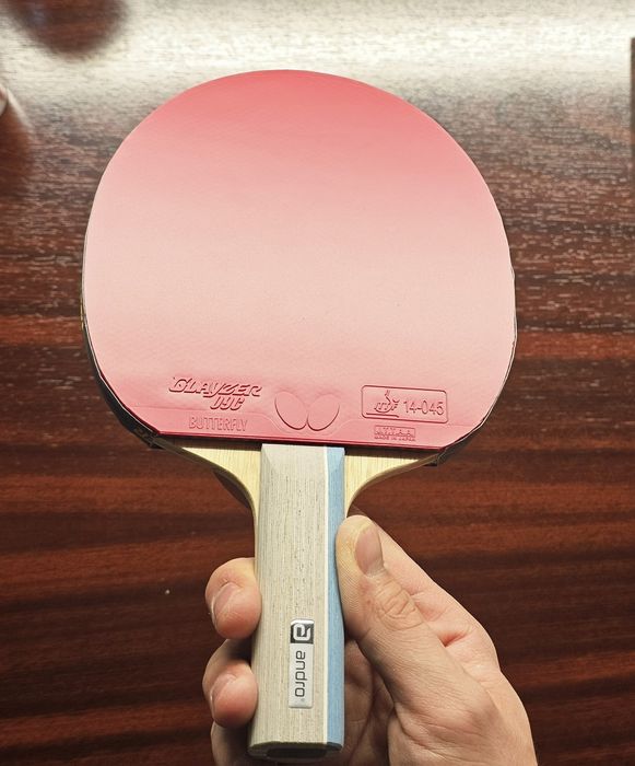 Paleta ideală pentru a învăța tenisdemasă/pingpong Andro/Butterfly