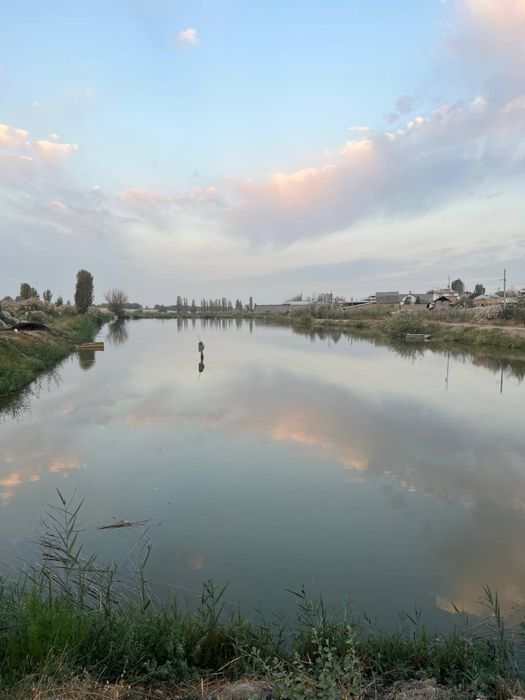 Рыбалка, клев отличный, проточная вода.