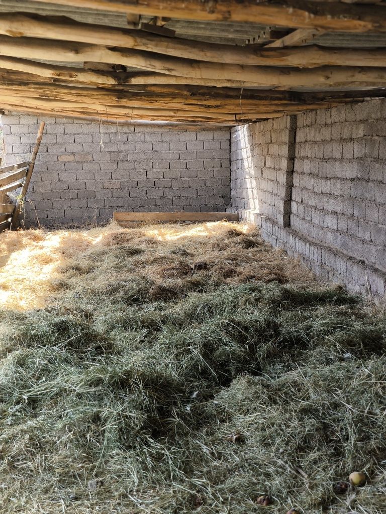 Продам ферму. Ферма продается. Ферма сотилади. Ferma  sotiladi.