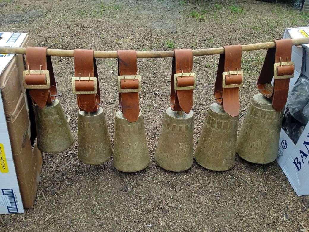 Чисто нови чанове