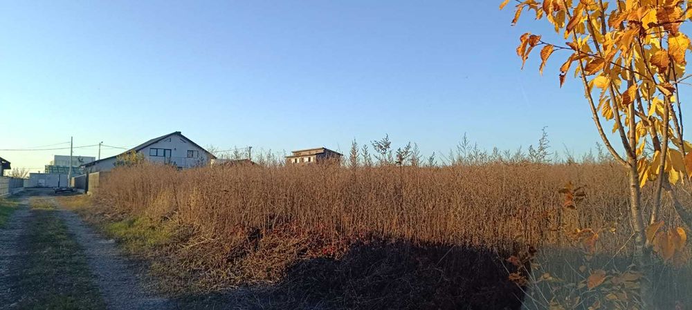 Teren intravilan+extravilan