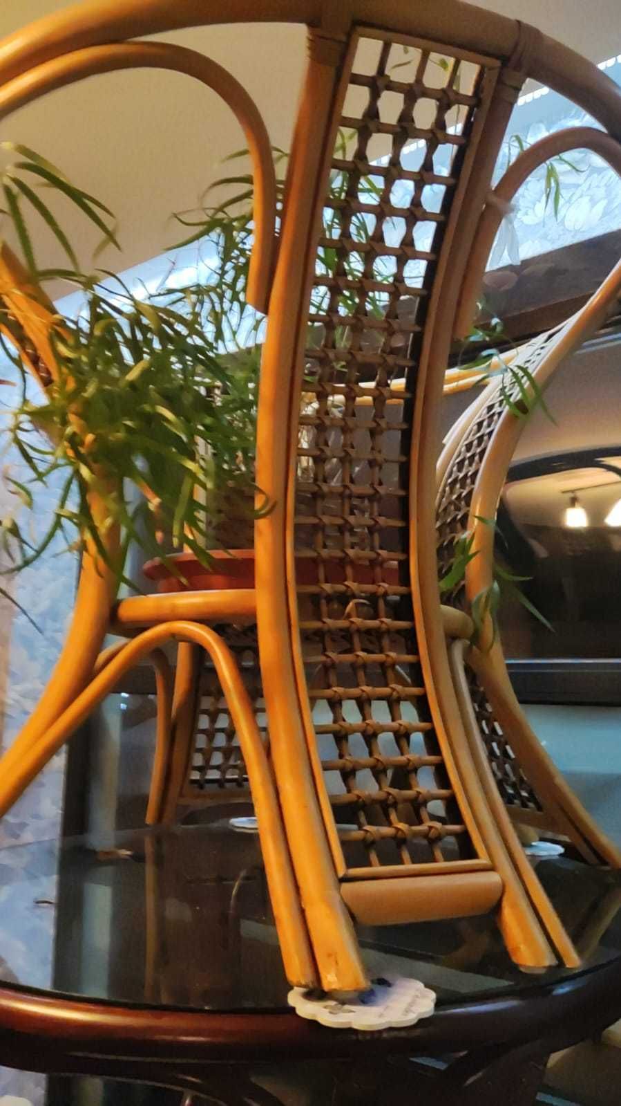mese terasa restaurant bambus noi
