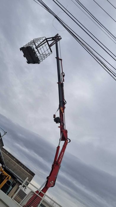 Toaletare copaci/tăiere/cosmetizare/transport basculabil/diverse lucra