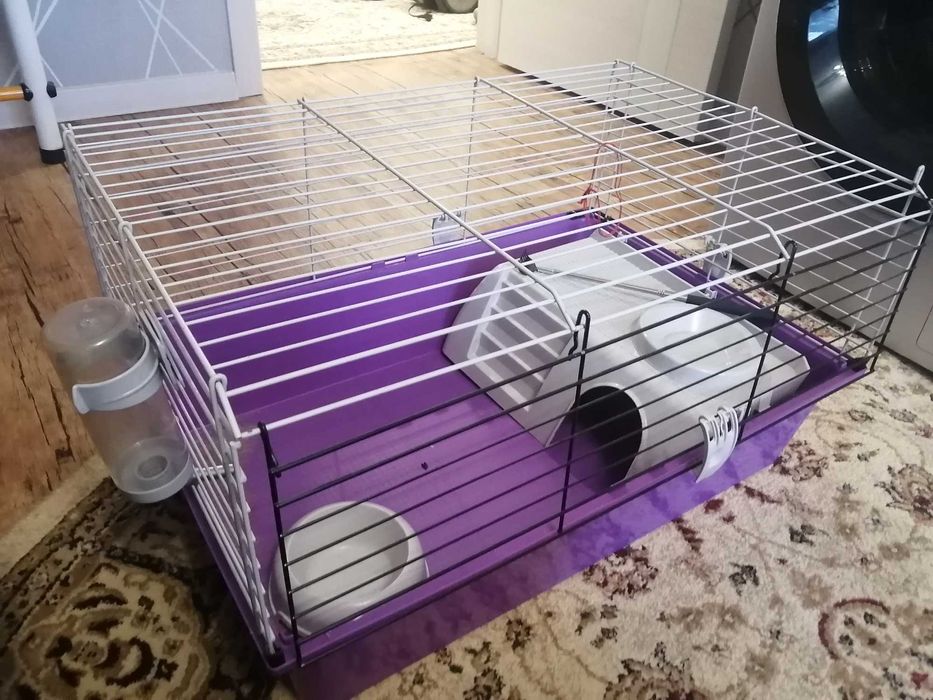 Клетка для грызунов, хомяка, морской свинки. Большая, с аксессуарами