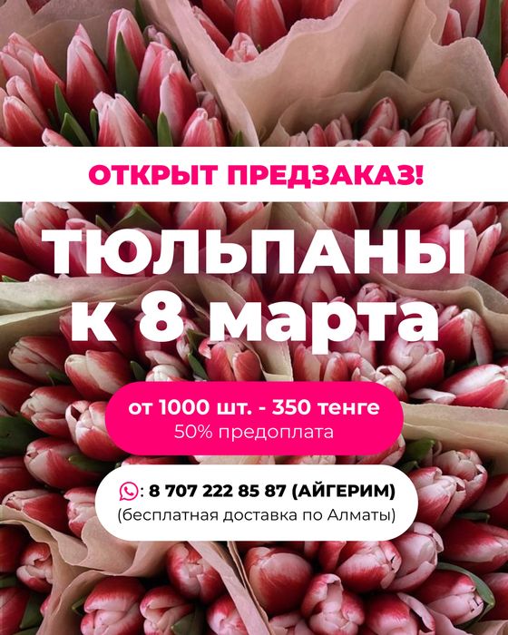 Тюльпаны к 8 марта