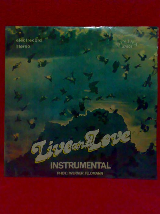 Vinil Electrecord - Muzică ambientală, simfonică & Curs audio cu cărți