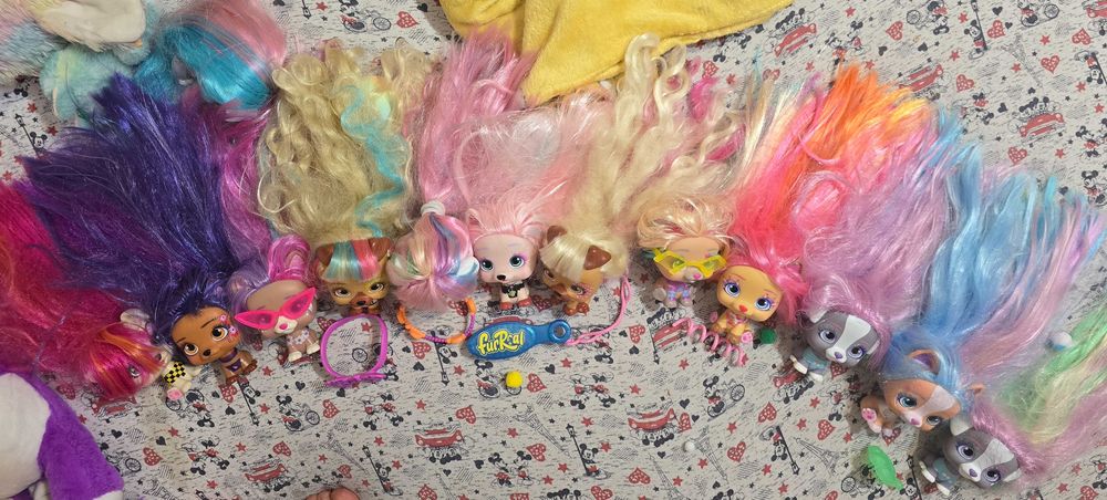 Cateluse VIP PETS DE VANZARE FOLOSITE,cu accesorii (ce a mai ramas)