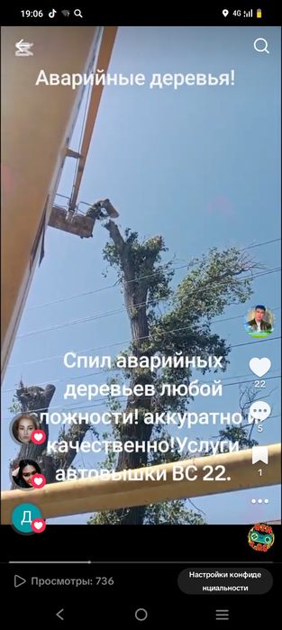 Спил аварийных деревьев!