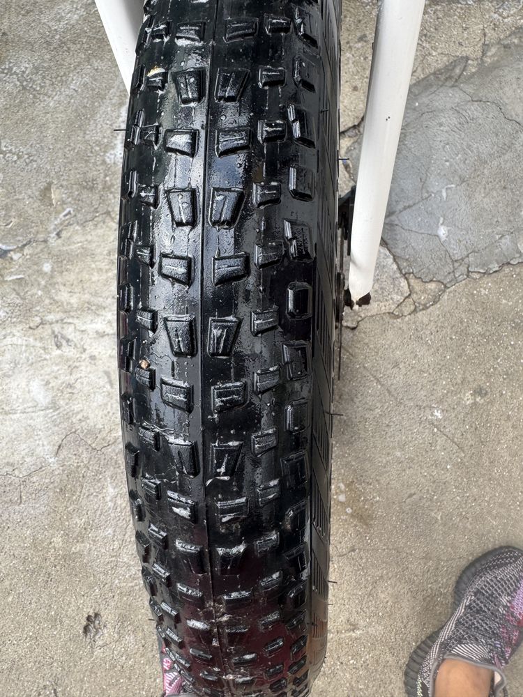 Fat Bike Pegasus