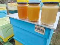 Пчелен мед регистриран земеделски производител