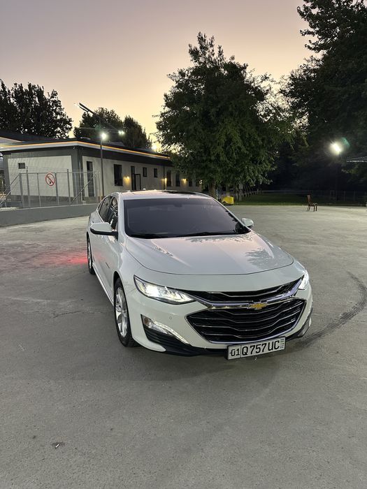 Malibu premier oq 2020