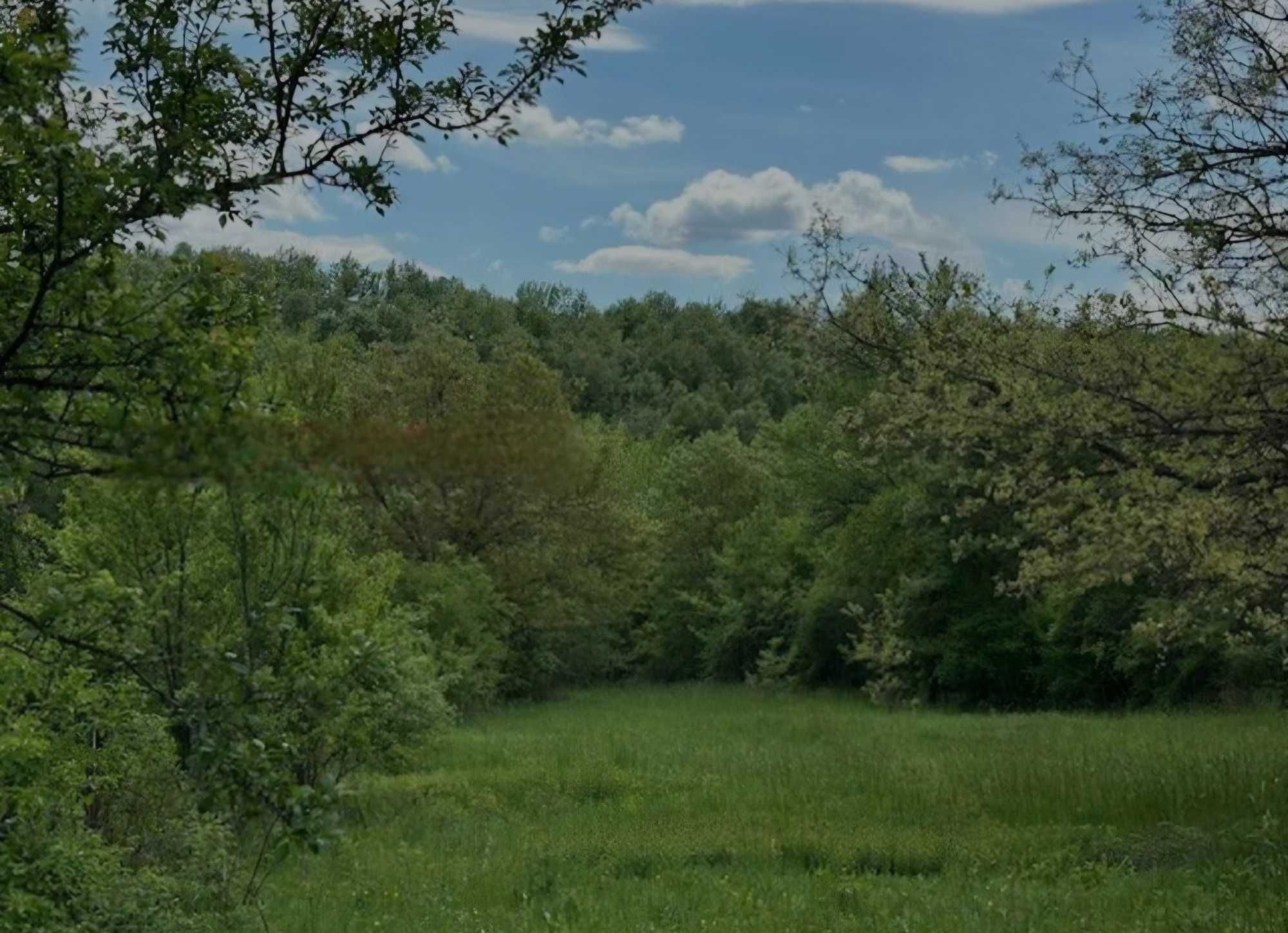 Парцел в село Балванците