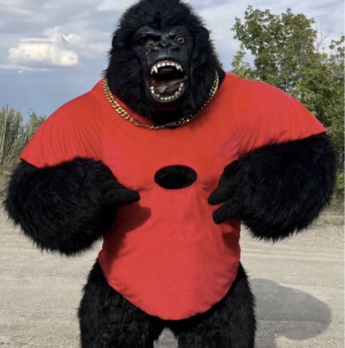 Горилла 10.000 Умка Панда Бурый медведь