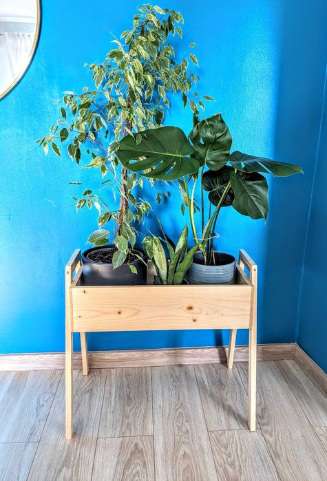 Cutii și Jardiniere din Lemn Masiv