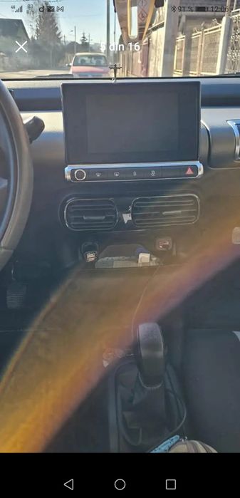 Citron c4 Cactus
