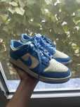 Nike dunk retro albastri