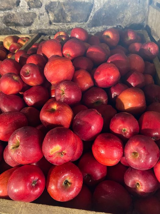 Mere de vanzare diverse sortimente