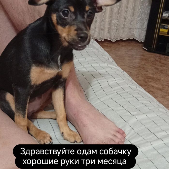 Девочка очень ласковая