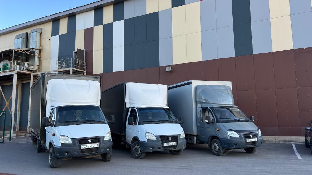 "Доставим груз, по городу — всё быстро и надёжно!" Чистый с ковром