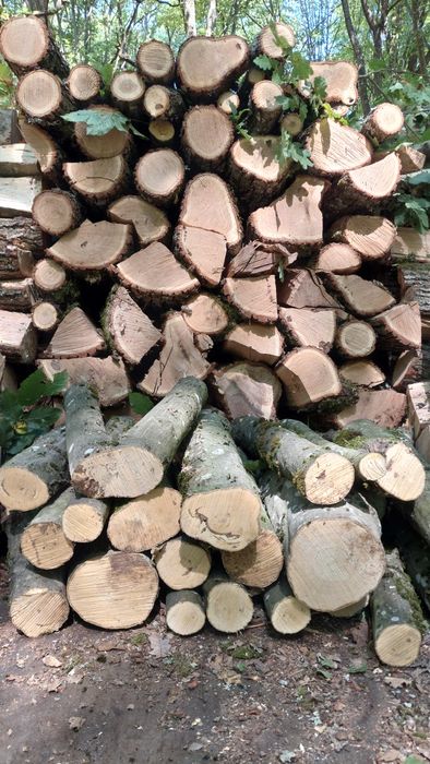 Lemn pentru foc esență tare stejar fag carpen