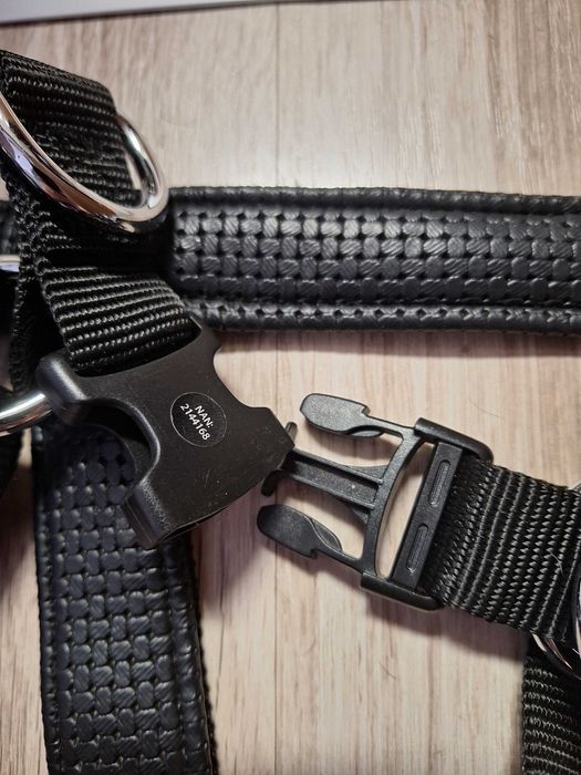 HAM caine talie mare, Labrador