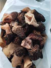 Продам грибы сморчки
