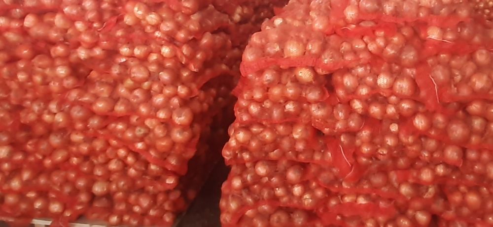 Ceapa romaneasca la 10 kg