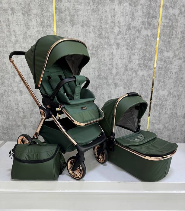 Kalyaska 3.1 CANELLI