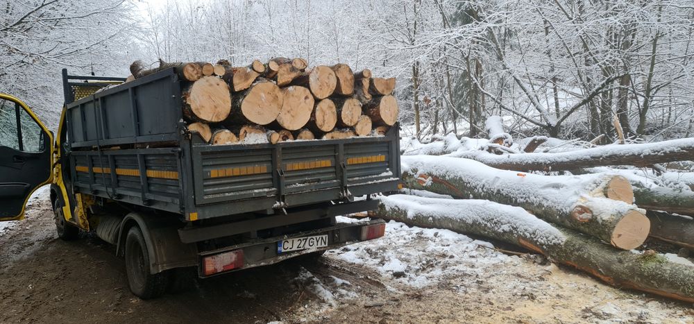 Lemne pentru foc avem si uscate