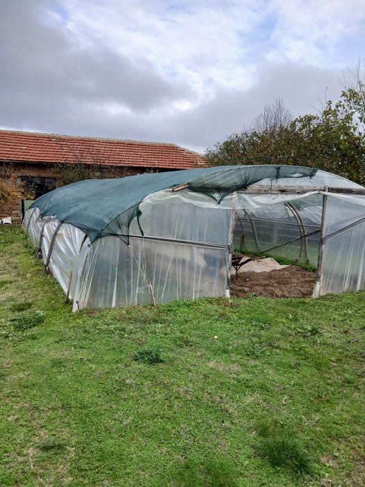 Оранжерия 10 мдълж