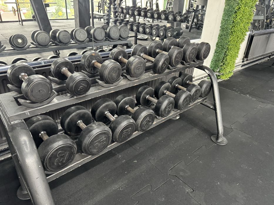 Set gantere fitness Hammer strength si gipara