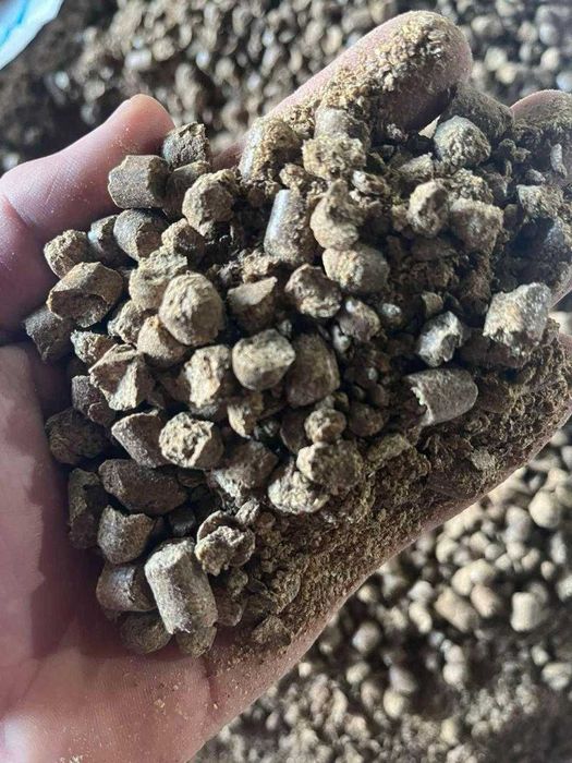 DDGS granulat din porumb– 1250lei/to + tva si transport inclus