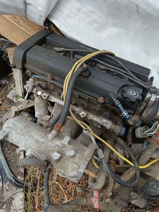 Хонда орхия на разбор