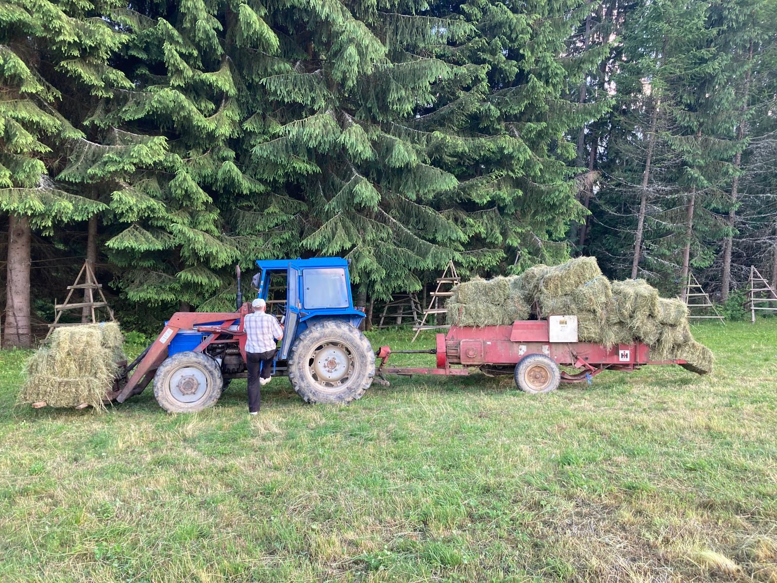 Vând fân și baloți de grădină