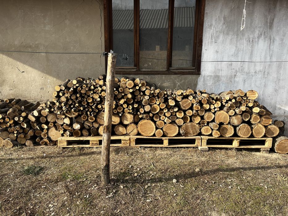 Дрова , чурки, карагач